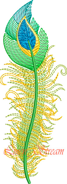Peacock-Feather 2.jpg