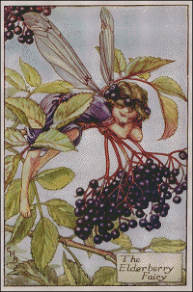 The Elderberry Fairy malinkaartstore.jpg