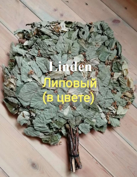 Linden broom.jpg