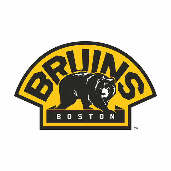 Boston Bruins6.jpg
