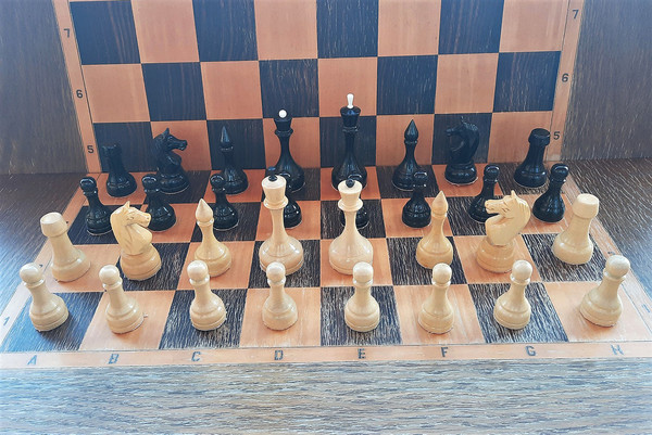 big_chess_from_luga1.jpg