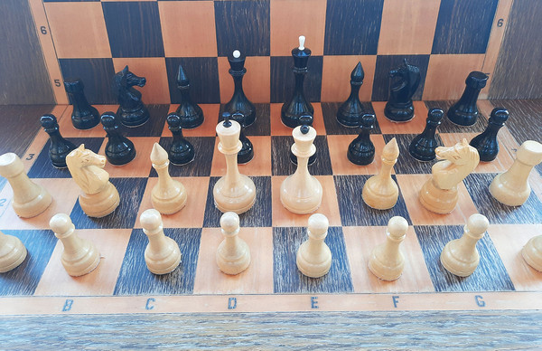 big_chess_from_luga4.jpg