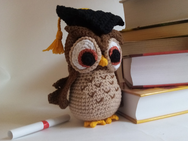 owl teacher.jpg