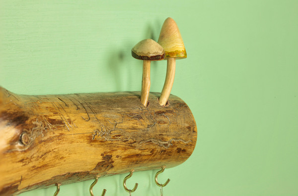hanger mushrooms.jpg