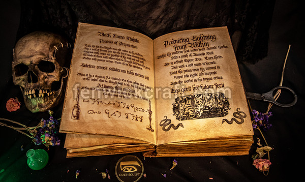 the hocus pocus spell book the sanderson sisters