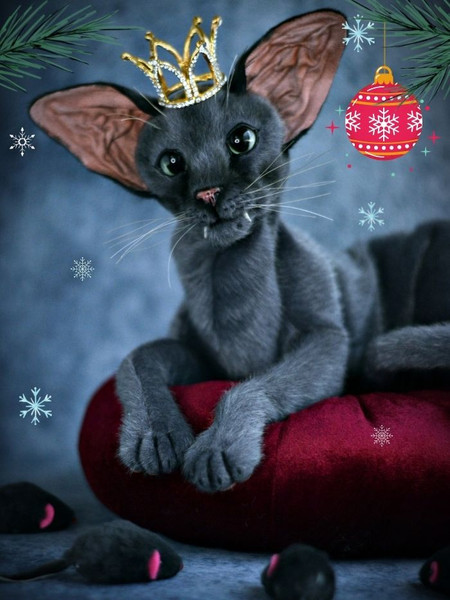 Grey Oriental Cat Toy (2).jpg
