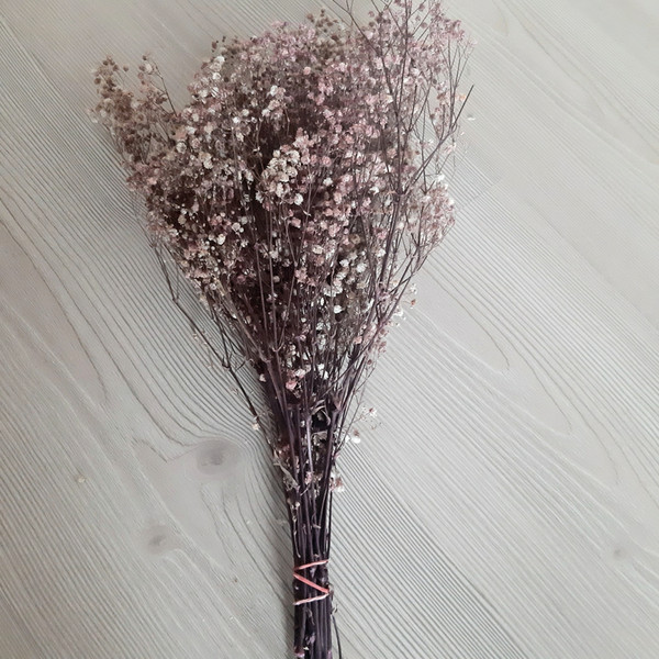 6 bunch baby's breath flowers, dried flower bouquet, dried f - Inspire  Uplift