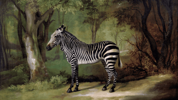 George Stubbs Zebra (1763).png