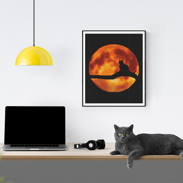 Moon cat-5.jpg