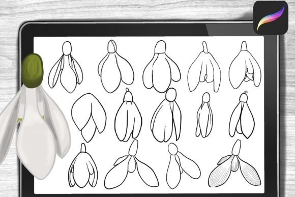 Snowdrop-Brushes-Procreate-Stamps-Graphics-31632278-2-580x387.jpg
