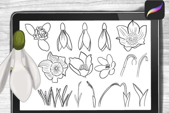 Snowdrop-Brushes-Procreate-Stamps-Graphics-31632278-3-580x387.jpg