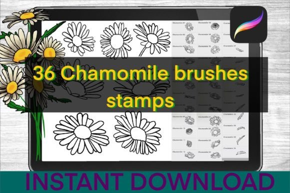 Chamomile-Brushes-Procreate-Stamps-Graphics-34735164-1-1-580x387.jpg