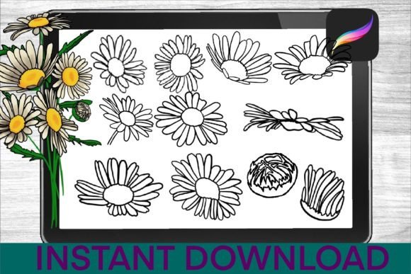 Chamomile-Brushes-Procreate-Stamps-Graphics-34735164-2-580x387.jpg