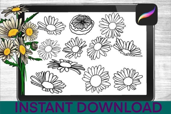 Chamomile-Brushes-Procreate-Stamps-Graphics-34735164-3-580x387.jpg