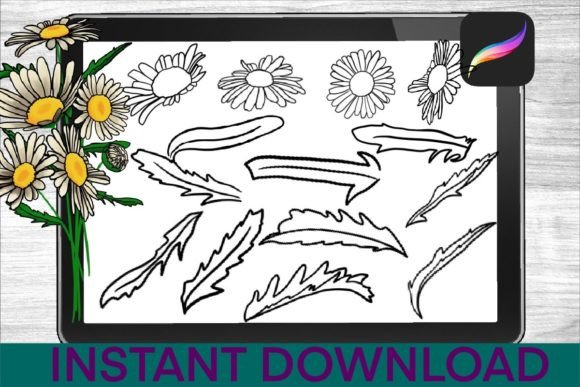 Chamomile-Brushes-Procreate-Stamps-Graphics-34735164-4-580x387.jpg