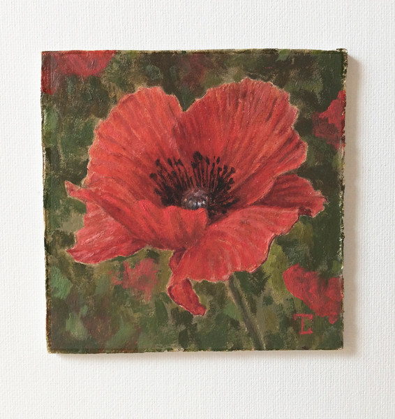 "Poppy" oil small painting flower stilllife original wall art picture artwork floral