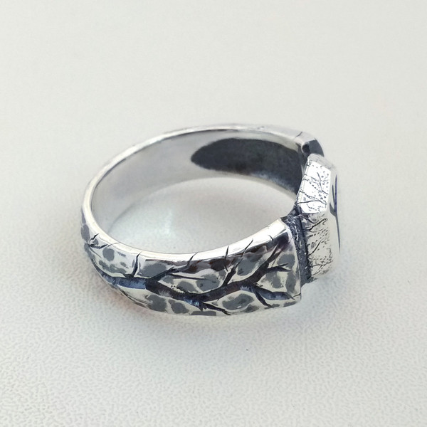 DIVINE PROTECTION Ring, Runic Protection Ring, Haunted Ring, Safeguard Ring,  Algiz Rune -  Australia