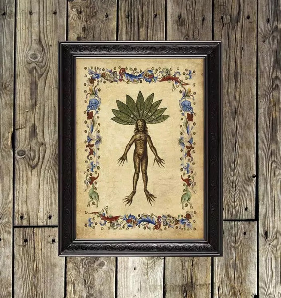 mandrake-poisonous-botanic-art-print.jpg