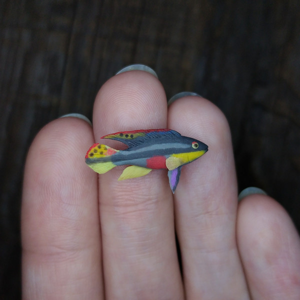 Miniature various Cichlids fish 5 pcs, tiny fish for diorama