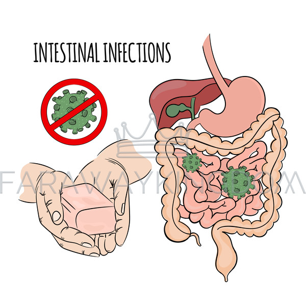 INTESTINAL INFECTIONS [site].jpg