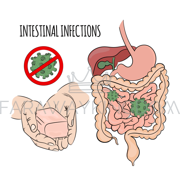 INTESTINAL INFECTIONS [site].png