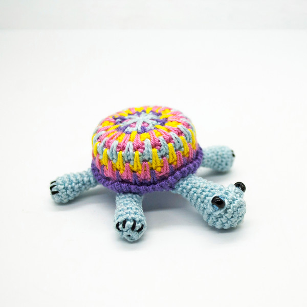 Light blue turtle miniature.jpg