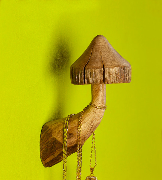 hanger mushroom 2.jpg