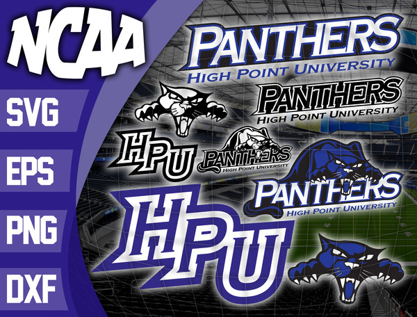 High Point Panthers.jpg