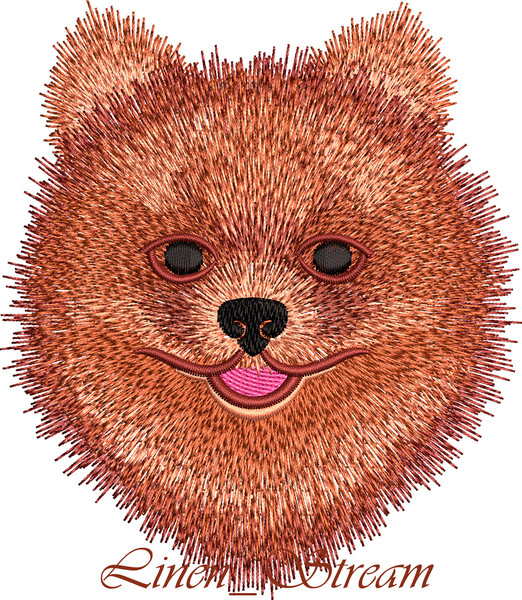 Pomeranian Spitz 2.jpg