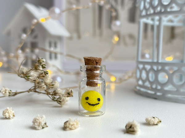 smile-in-glass-bottle-necklace-best-friend-funny-gift.jpeg