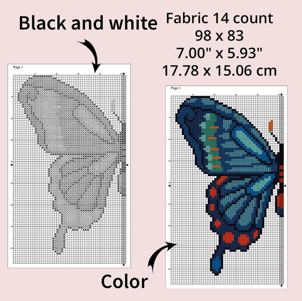 Butterfly 8-4.jpg