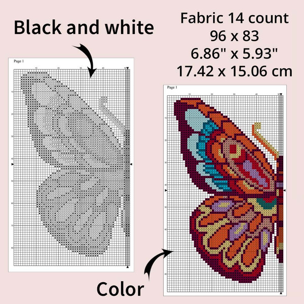 Butterfly 10-4.jpg