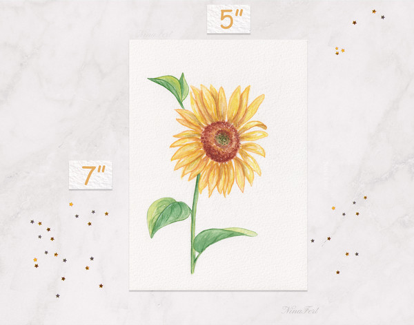 Sunflower_NinaFert_Etsy_meas.jpg