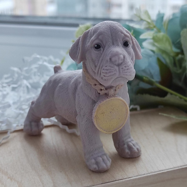 Dog with medal mold soap