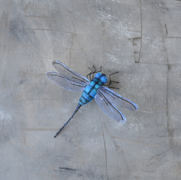 Realistic-dragonfly-brooch-Needle-felted-nsect-replica-jewelry 1