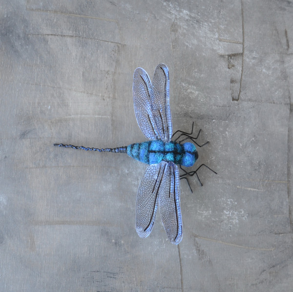 Realistic-dragonfly-brooch-Needle-felted-nsect-replica-jewelry 2