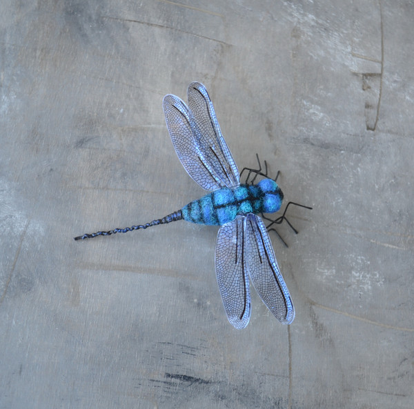 Realistic-dragonfly-brooch-Needle-felted-nsect-replica-jewelry 5
