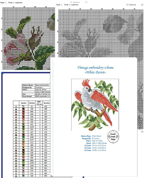 Vintage Cross Stitch Scheme Parrot and Roses  2.jpg