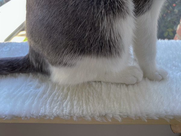 Cat Perch Soft Mat 3.jpg
