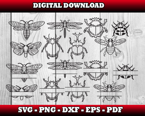 insects-svg-bundle-files.jpg