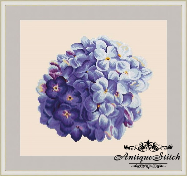 Blue Hydrangea cross stitch pattern