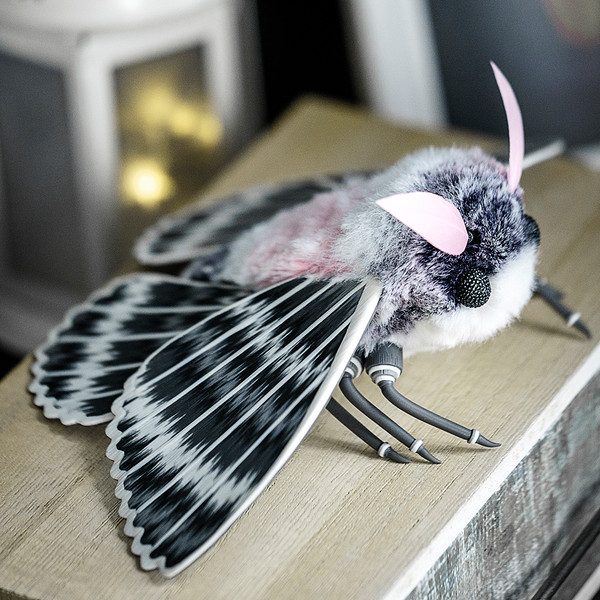 gray moth doll 0101.jpg