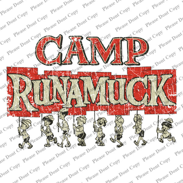 Camp Runamuck 1965 - 60s Tv.jpg