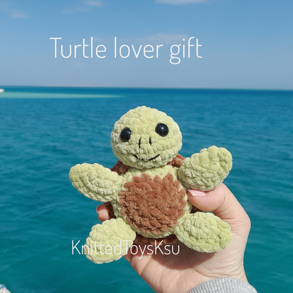 Turtle-gifts.jpeg