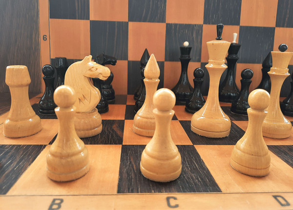 luga_chess_big2.jpg