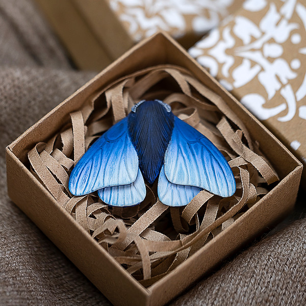 Blue moth brooch in the gift box