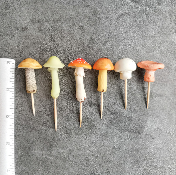 mushroom terrarium kit.jpg