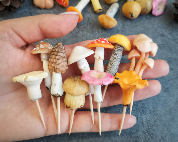 mushroom terrarium kit.jpg