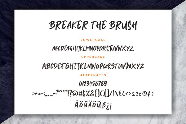 Breaker-The-Brush-6.jpg