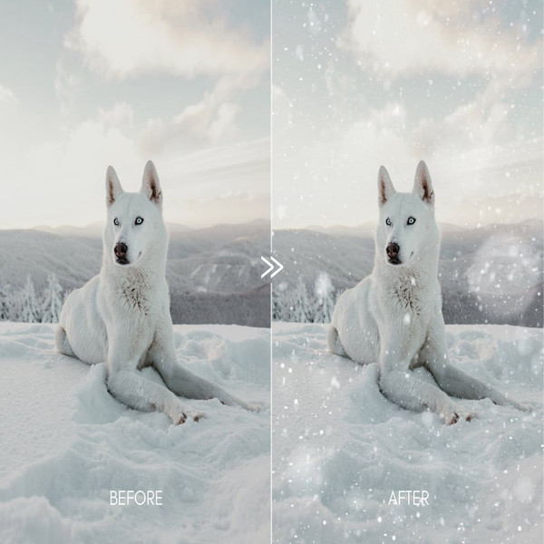 1080x1080 size snow-winter-blizzard-bokeh-magical-dreamy-overlays-photoshop-weather-bundle-9.jpg